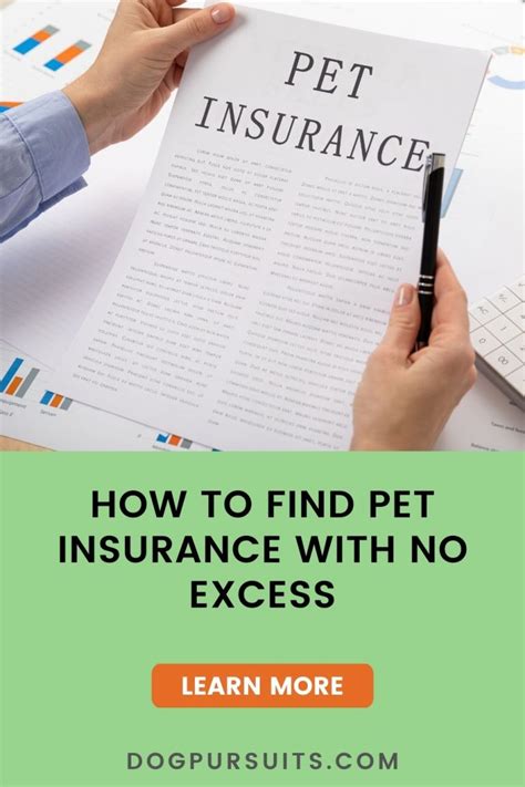 pet insurance 100 no excess reviews.